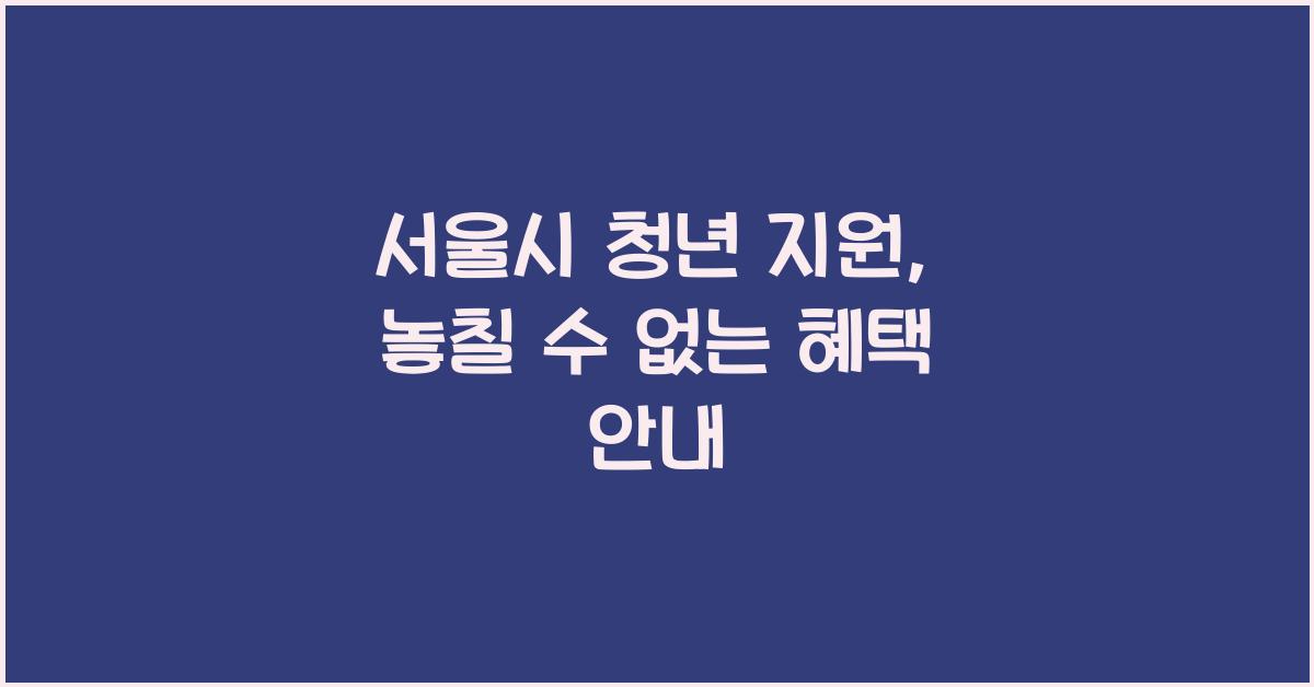 서울시 청년 지원