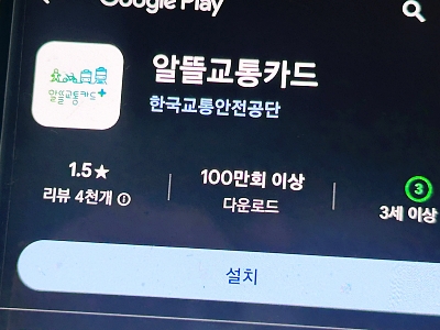카카오페이 교통카드