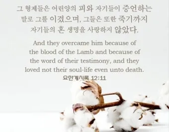 요한계시록 4장 하늘보좌 천사들의 거룩한 예배 찬양_16