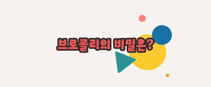 브로콜리 효능 지금 시작해보겠습니다