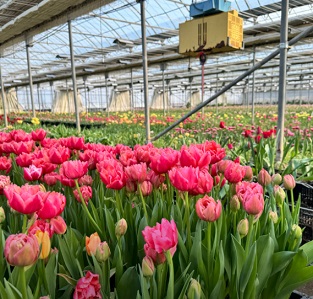 김해-농장체험-플라워팜팜