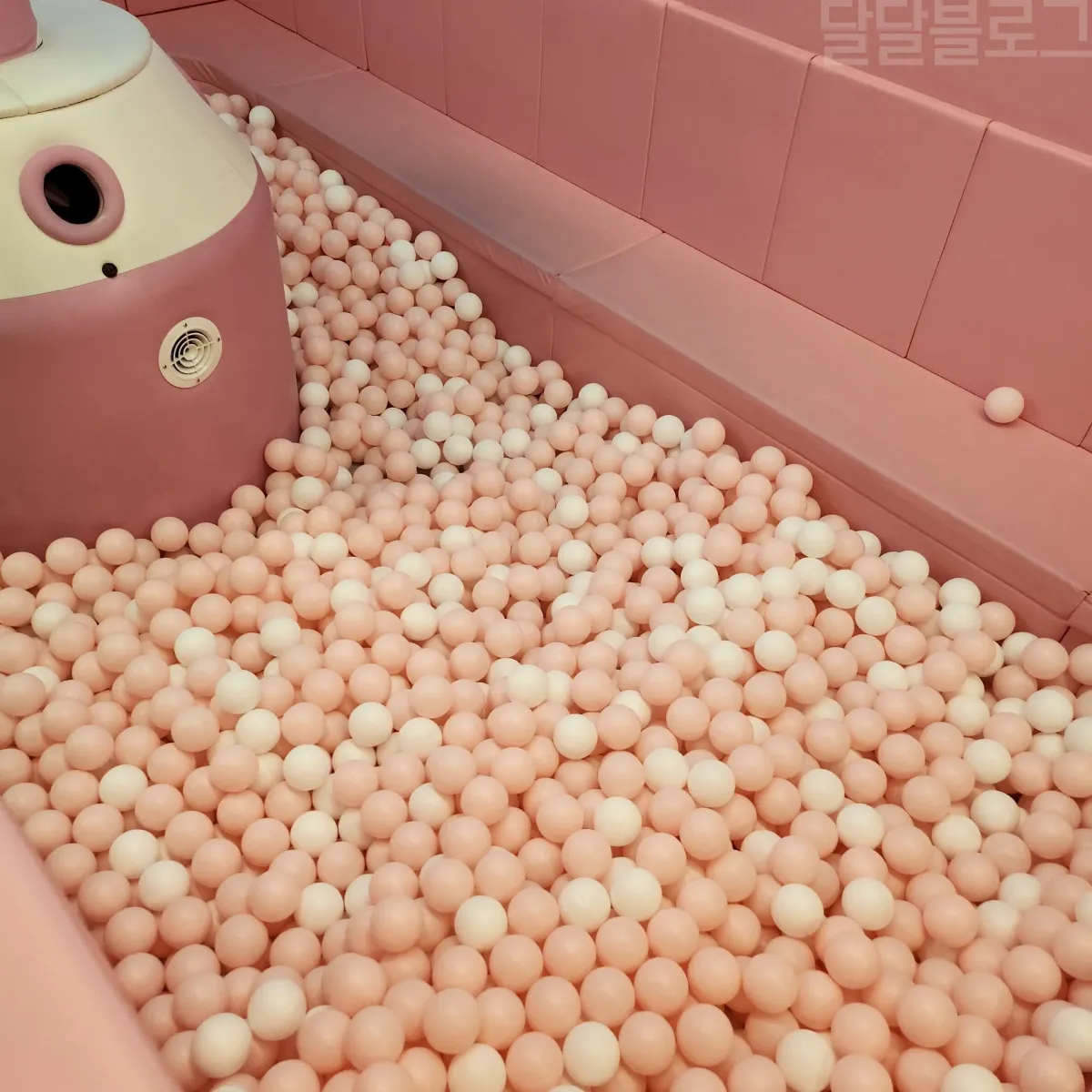 고고다이노-키즈카페-유아볼풀장