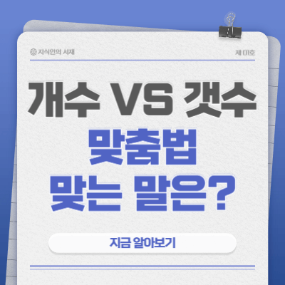 개수-갯수-맞춤법-맞는-말은?