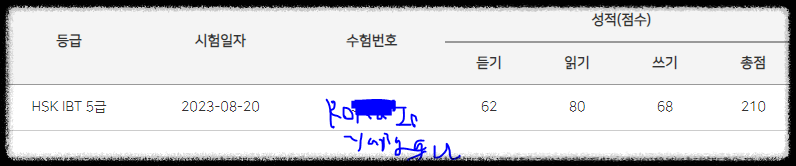 로카인양구의 HSK IBT 5급 성적