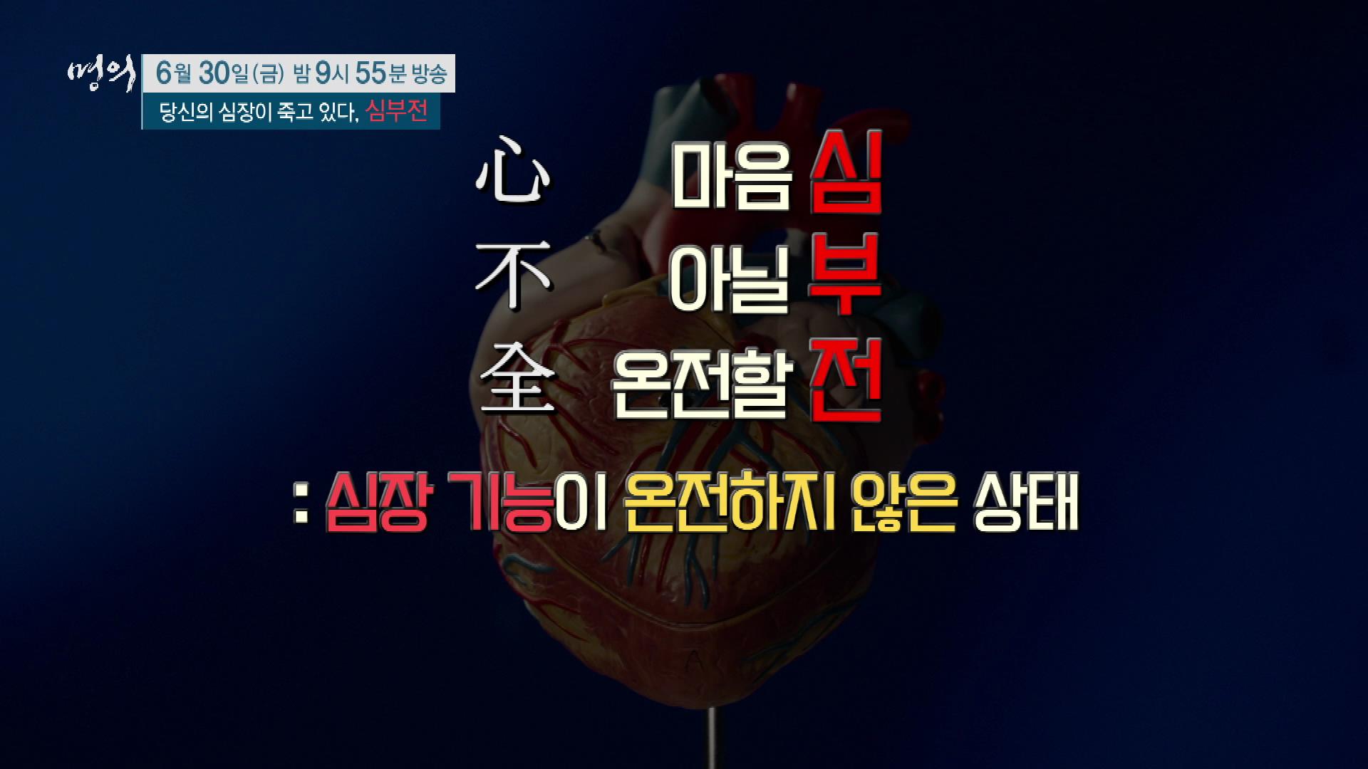 당신의 심장이 죽고 있다, 심부전 원인, 진단기준, 증상, 치료 방법 삼성서울병원 순환기내과 최진오 교수 예약 추천
