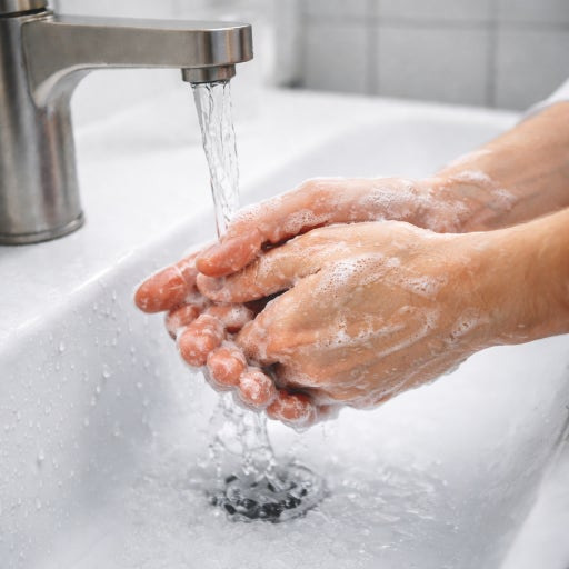 니파 바이러스 치료제 없는데 감염병 인도확산조심 우리나라는 안전할까