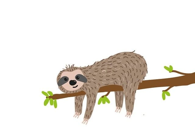 게으름을 극복하는 심리학적 전략