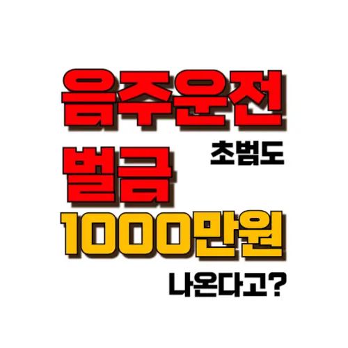 음주운전 벌금 1000만원 썸네일