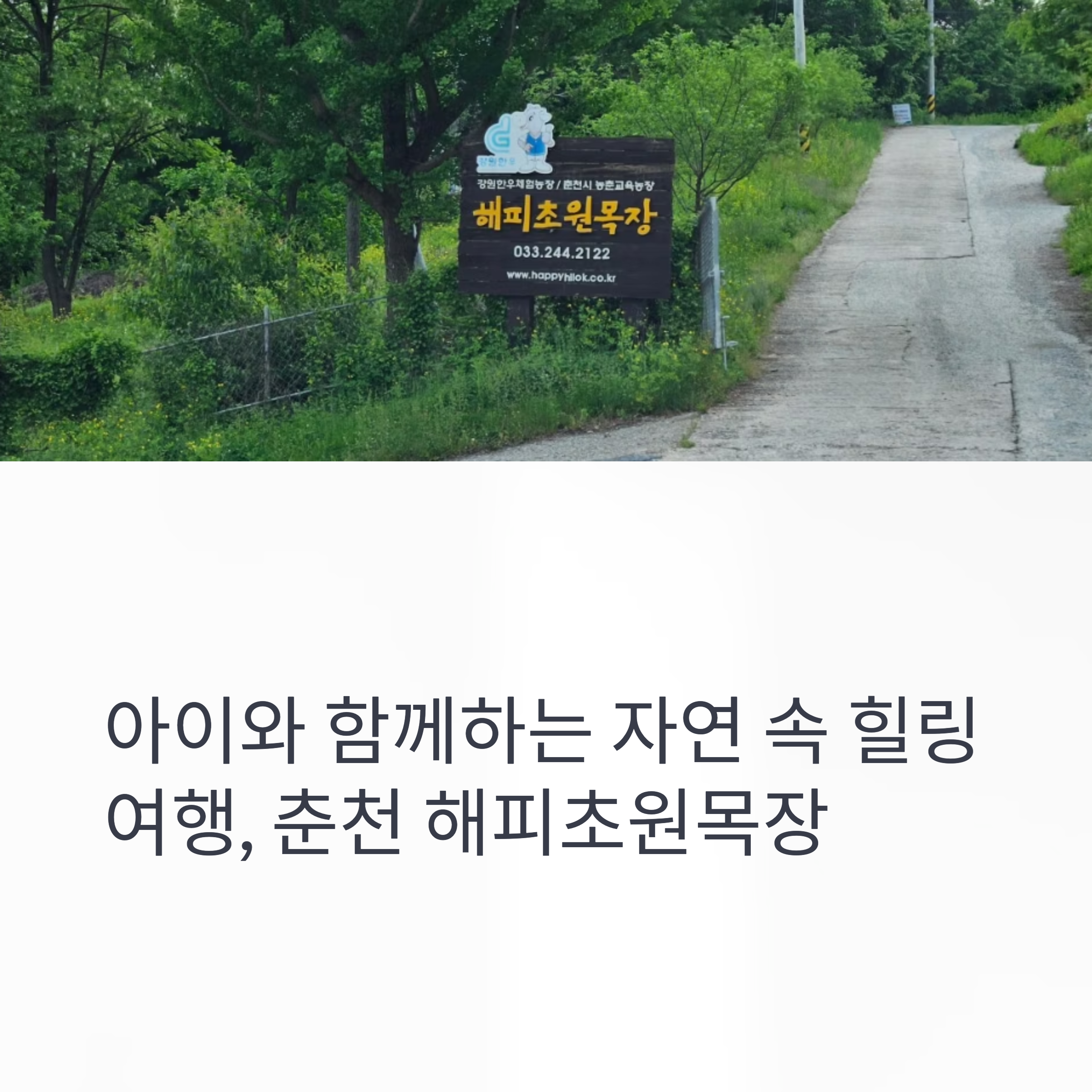 아이와 함께하는 자연 속 힐링여행, 춘천 해피초원목장