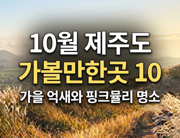 10월 제주도 가볼만한곳 10곳