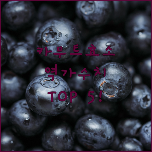 카무트 효소 추천 TOP 5 역가수치..
