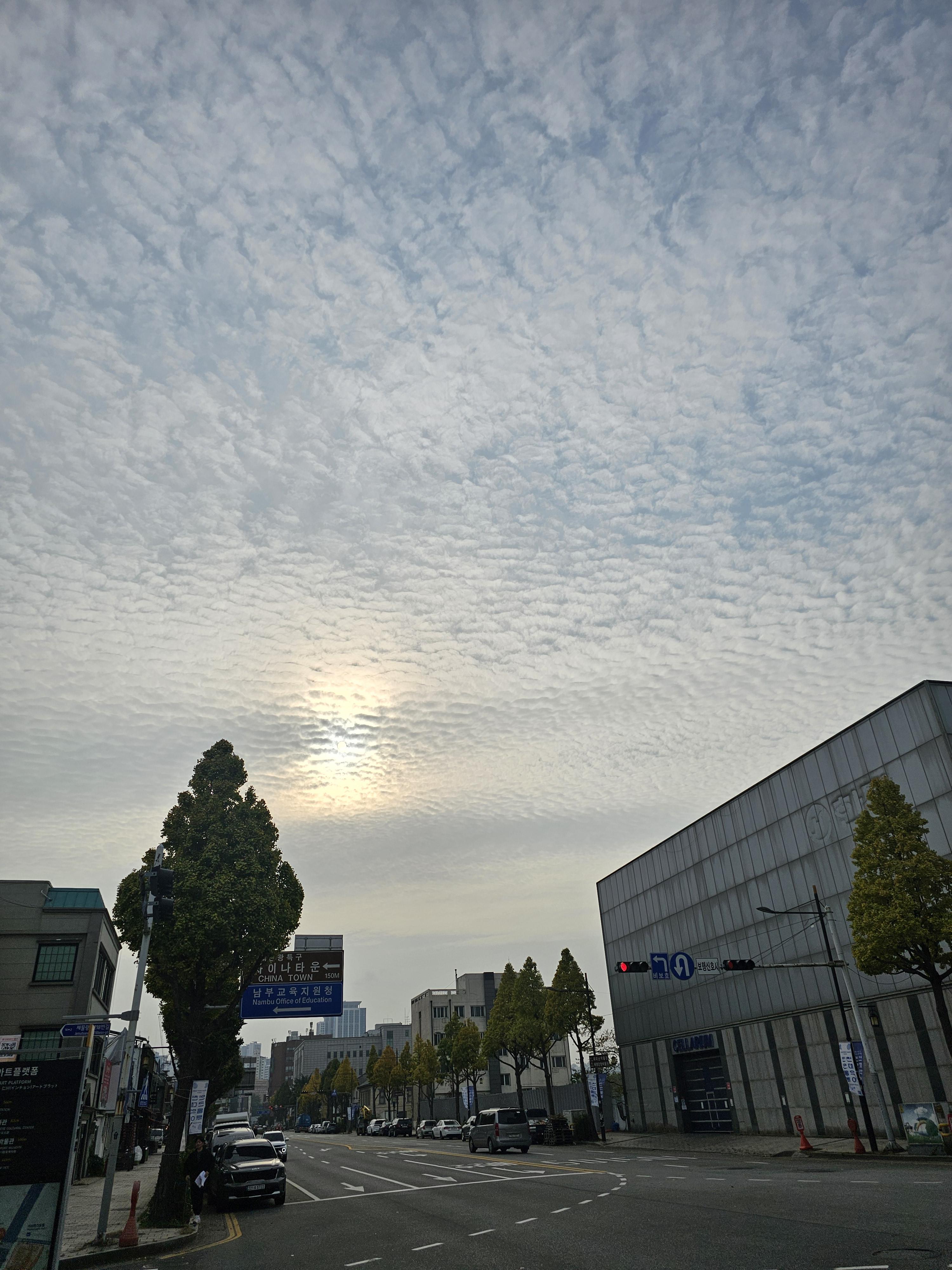 차이나타운 사진 여행후기