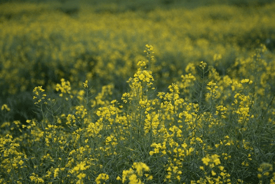 제주도 가볼만한곳 10곳