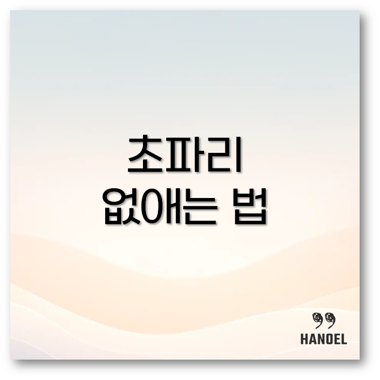 초파리 없애는 법