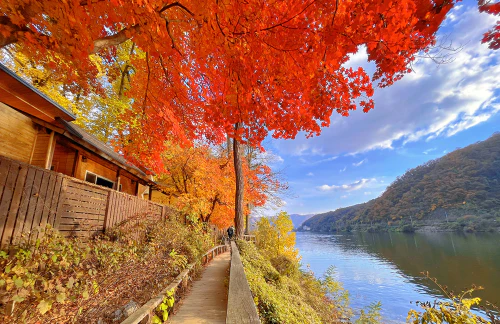 남이섬 정관루 외관 사진