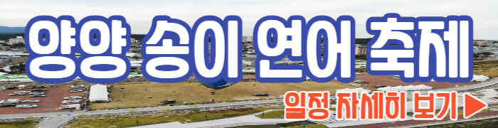 양양 송이 연어축제 일정