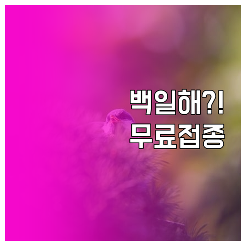 백일해 무료 접종, 영유아부터 조부모..