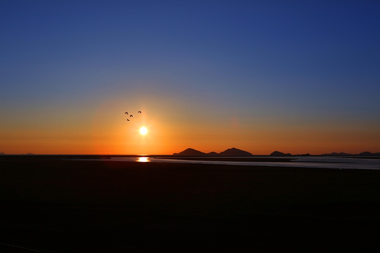 숙박세일페스타 할인권