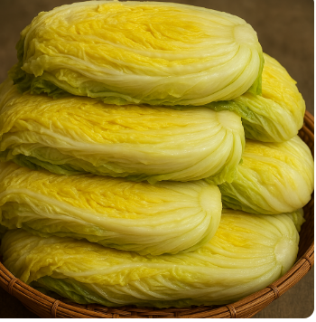 절임배추 물빼기