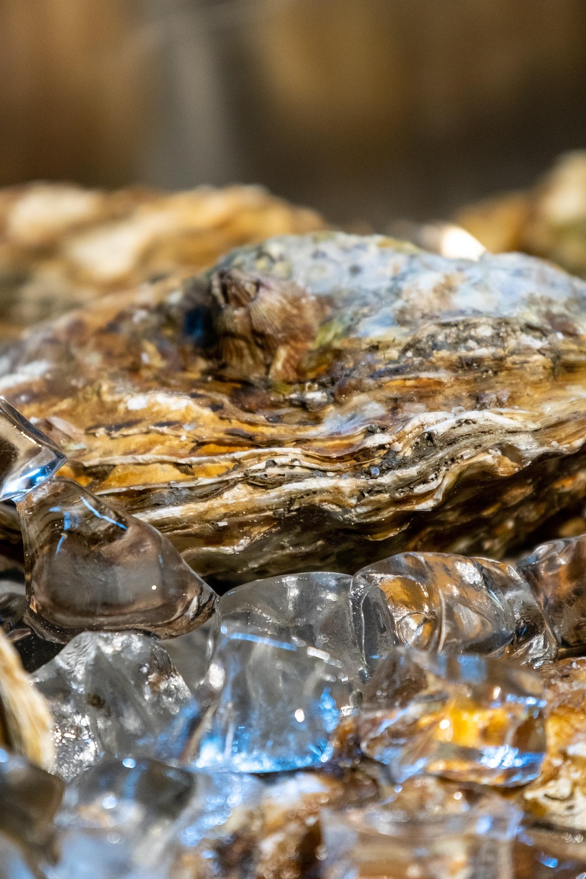 Fresh PEI Oysters