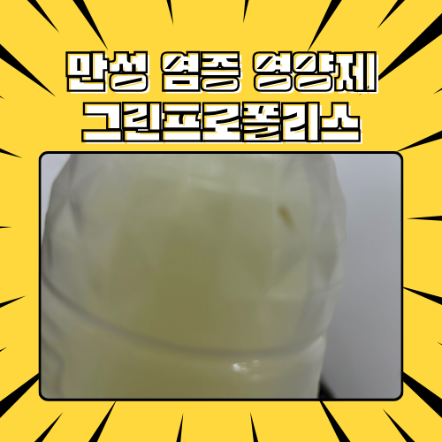 만성염증 영양제 추천 브라질산 그린 프로폴리스 원액 효능 효과 추천