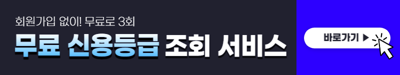 나이스 지키미 신용등급 점수 확인 방법