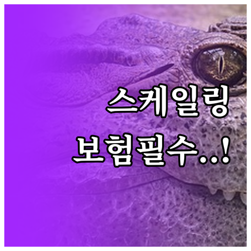 만 19세 이상 스케일링 건강보험 적..