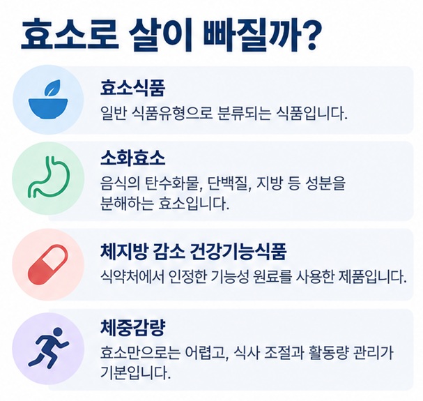 효소식품 소화효소 체지방 감소 건강기능식품 체중감량의 의미와 확인할 점을 비교한 표