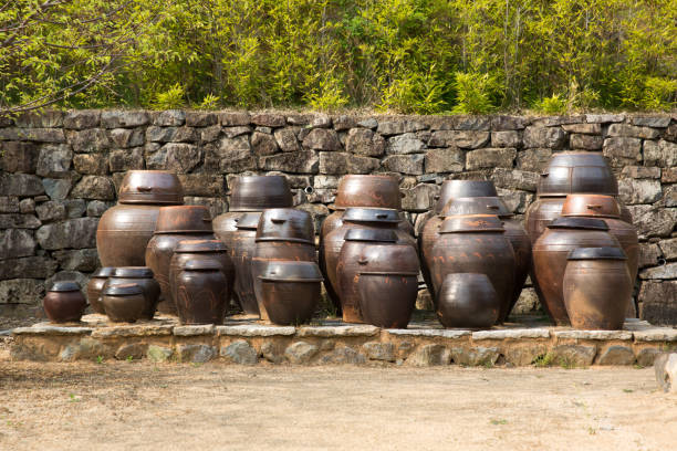 한국 전통 주거 양식, 장독대