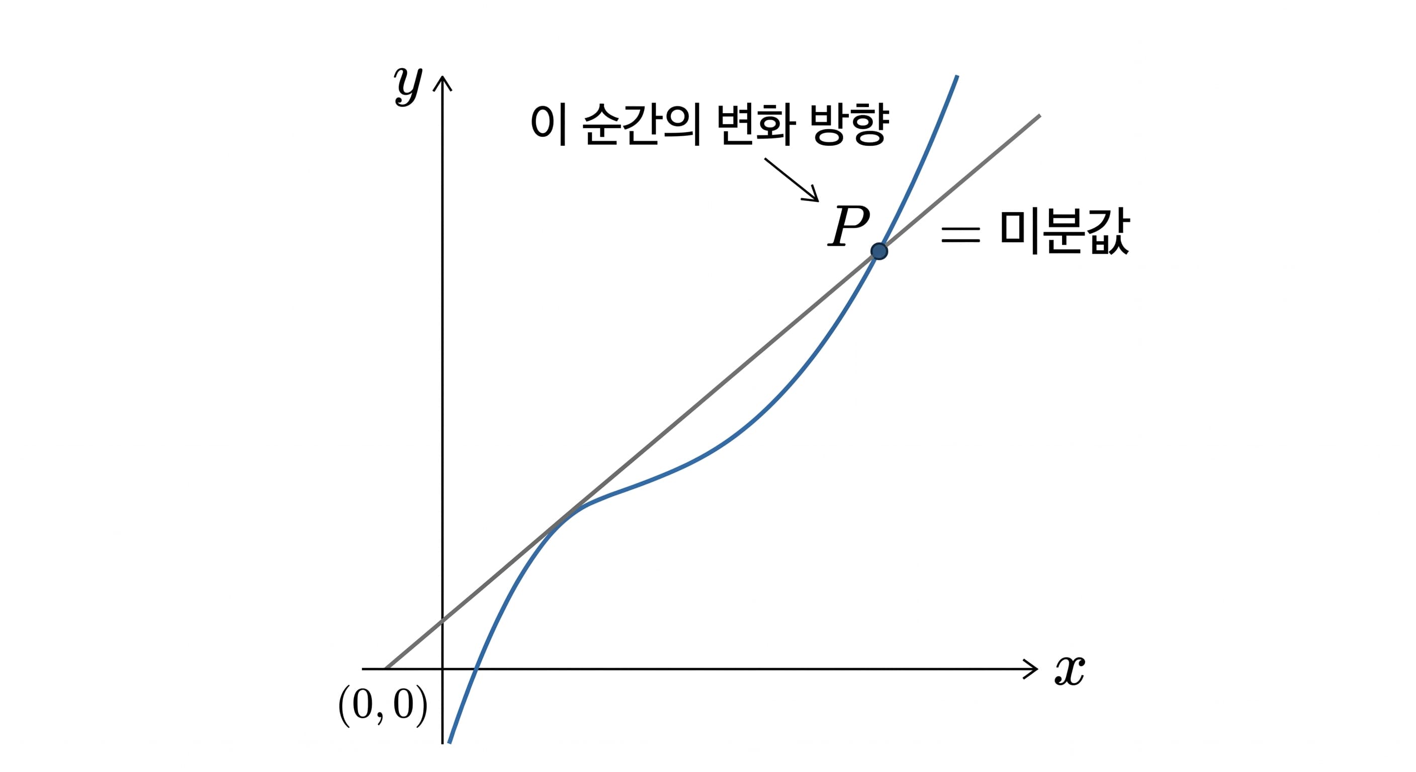 곡선 위 한 점에서의 접선과 미분값의 관계