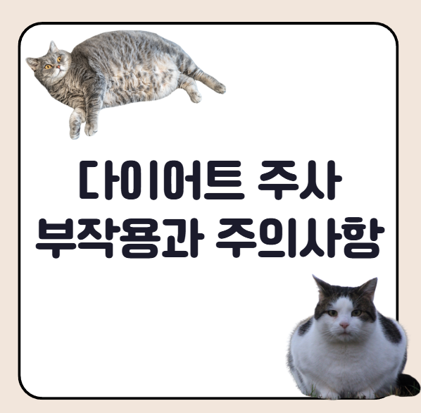 다이어트 주사 부작용과 주의사항