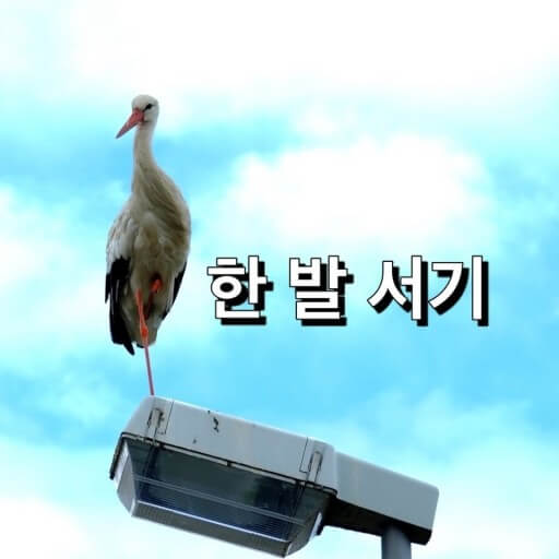 외발서기