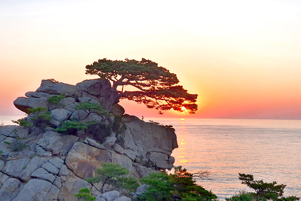 하조대