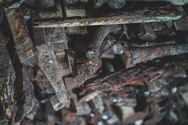 전세보증금 담보대출 5