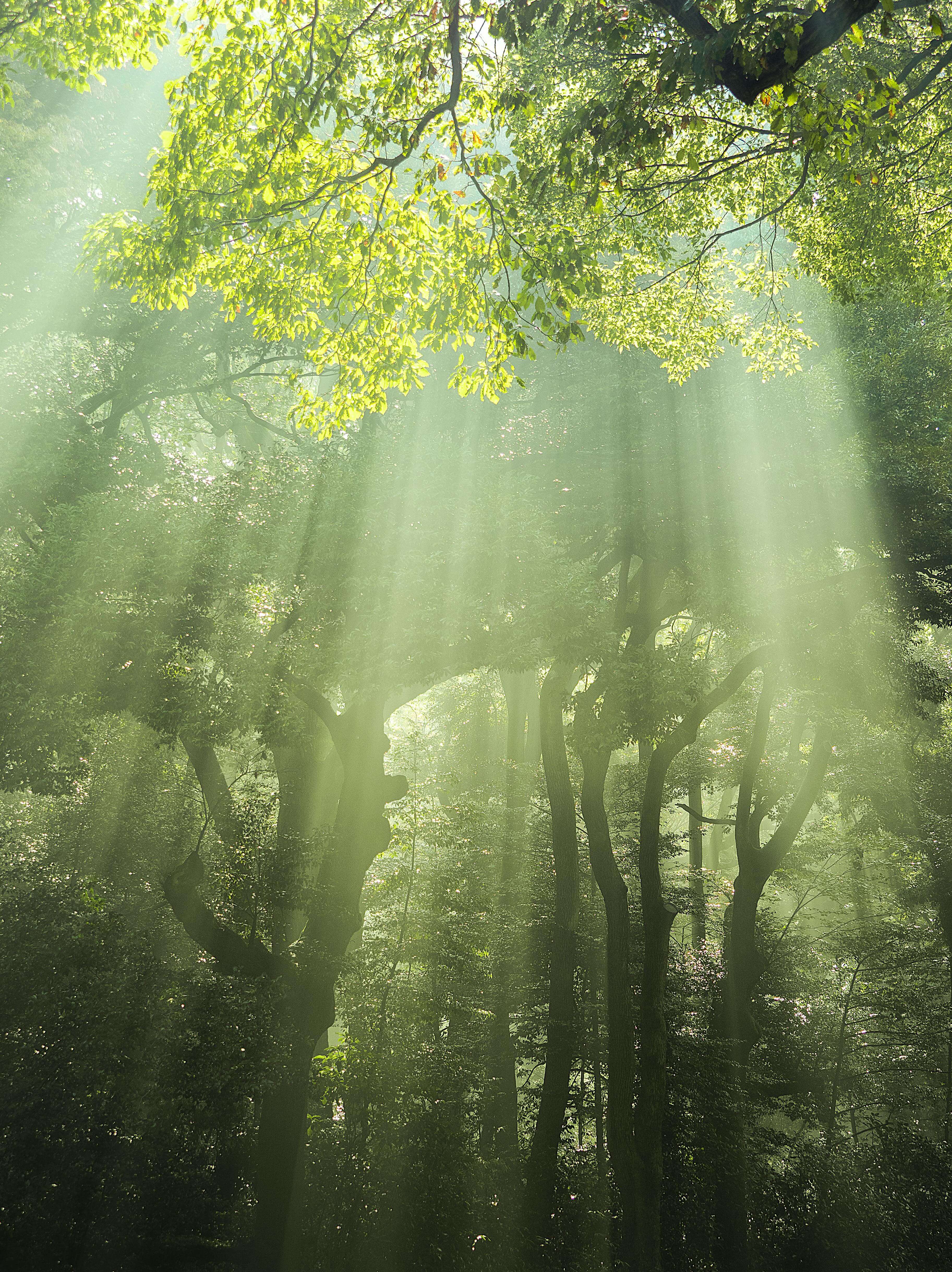강릉 임해자연휴양림