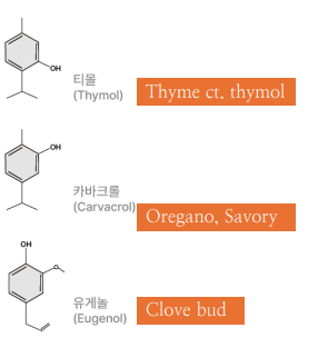 아로마 에센셜의 화학구조(Chemotype) : Phenol(페놀)