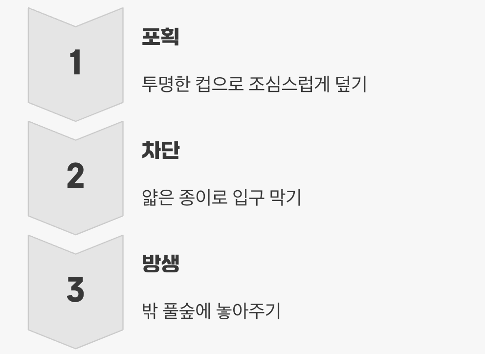 첫 번째 해결책: 평화로운 이사 권유