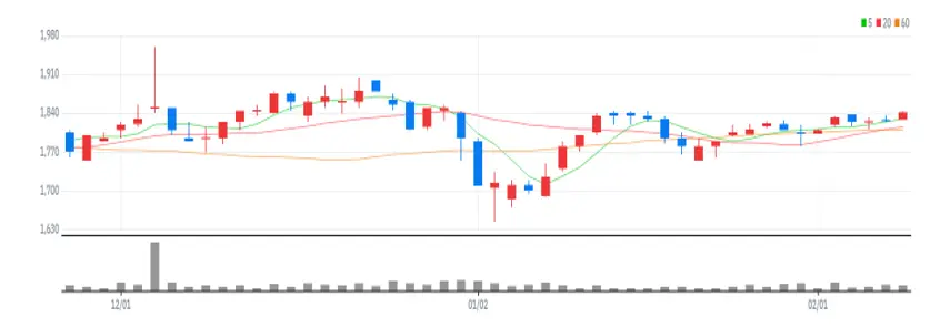 우리손에프앤지 차트