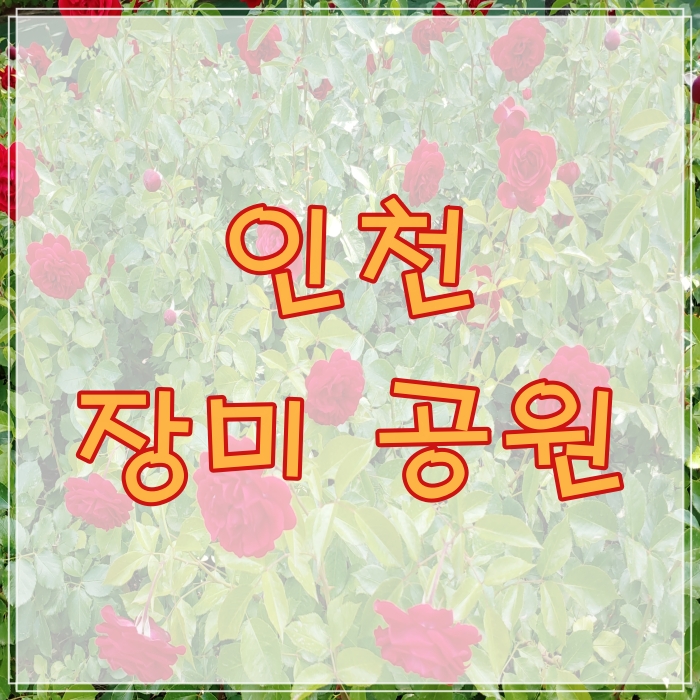 인천 장미공원 썸네일