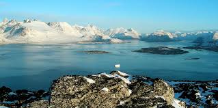 미세먼지 초미세먼지의 정의 및 위험성과 대처법 그리고 전국 미세 먼지 지수 보기(서울 경기 부산 대구 인천 대전)