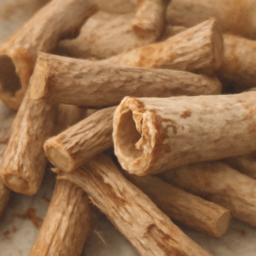 유근피_섭취팁_추천조합