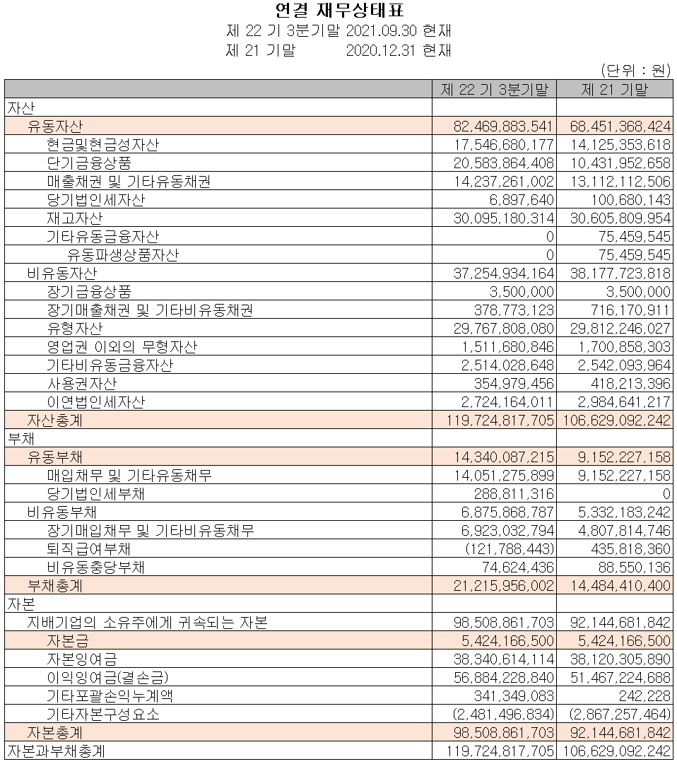 나노신소재 2021년 3분기 재무상태표
