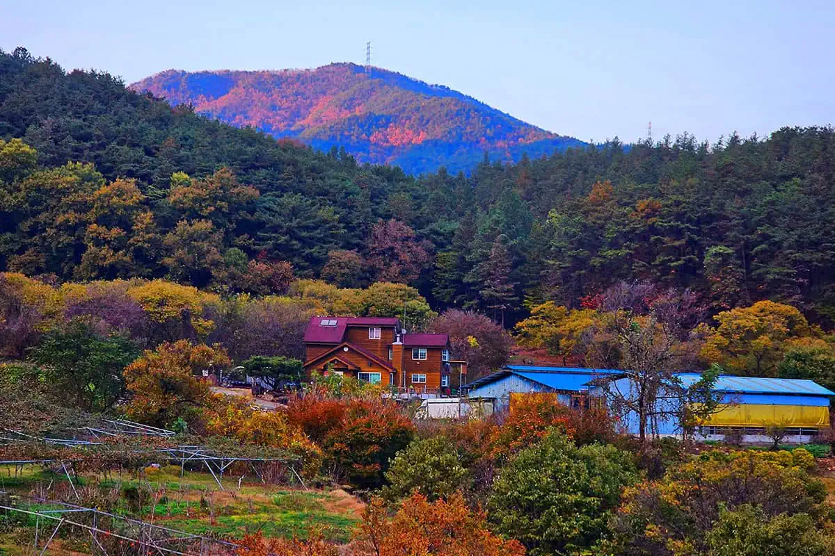 전남 광양 백운산 둘레길