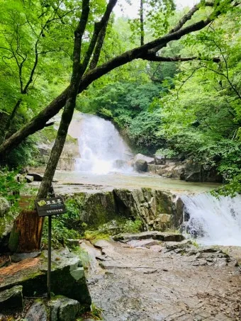 양평 강수 예측 세미원 산책 동선 우산 대여 정보_23