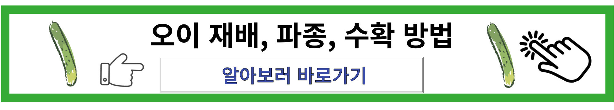 오이재배방법