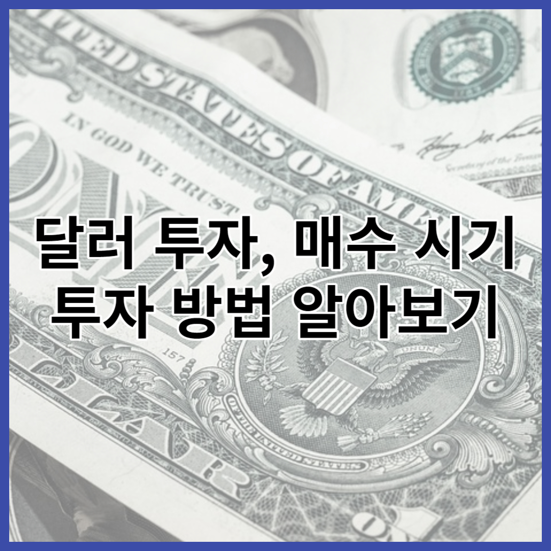달러 투자, 매수 시기, 투자방법 알아보기