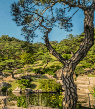 화담숲 전경사진