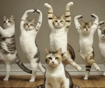 고양이 발정 기간 증상 대처_6