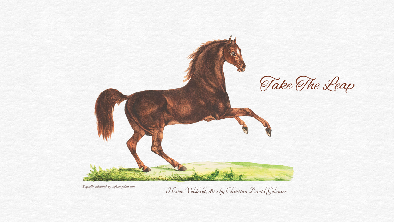 05 빈티지 갈색 말 그림 C - Take The Leap 말배경화면