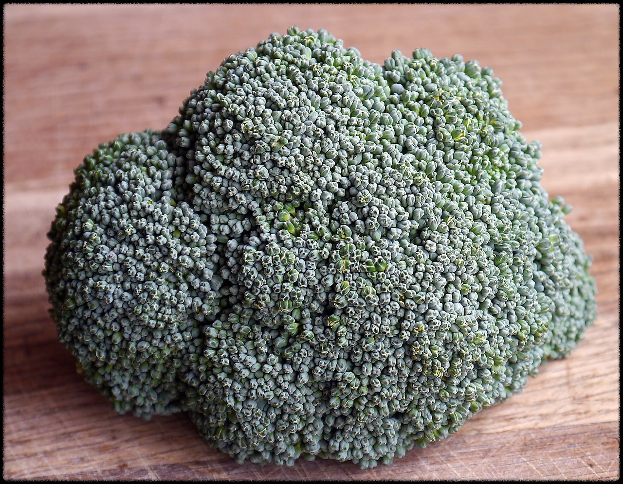 브로콜리 이미지5